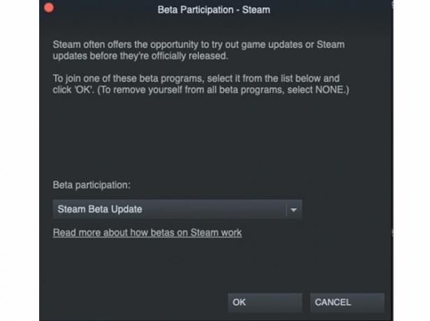 תמונה המציגה כיצד לעדכן את לקוח Steam שלך לגישה להפעלה מרחוק