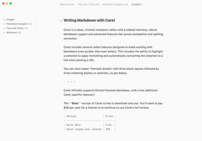עורך Caret Markdown