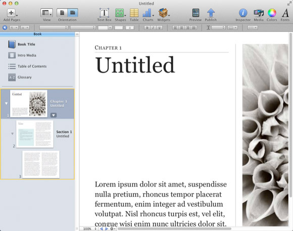 מחבר Ibooks 1