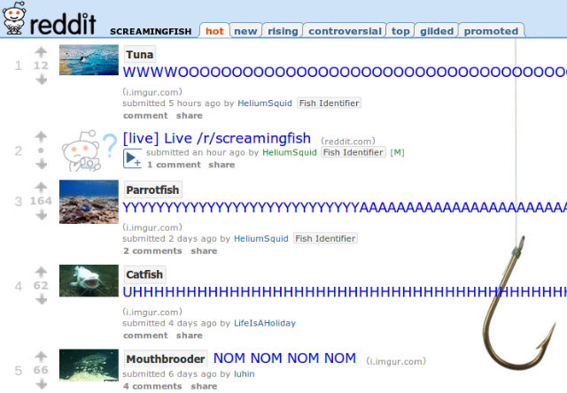 reddit-צורח-דגים