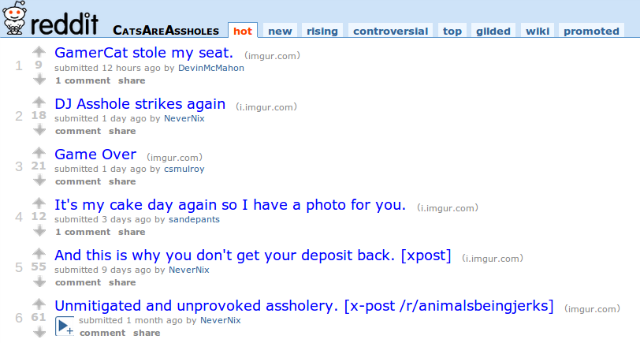 reddit-cat-are-assholes