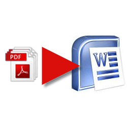 כיצד להמיר קובץ PDF למסמך Word עם AnyBizSoft PDF לממיר Word AnyBizSoft08 אגודל