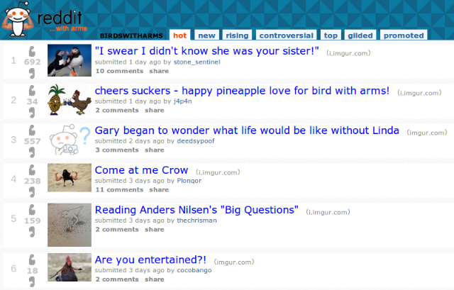 reddit-ציפורים-בזרועות