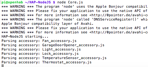 hap-nodejs מותקן