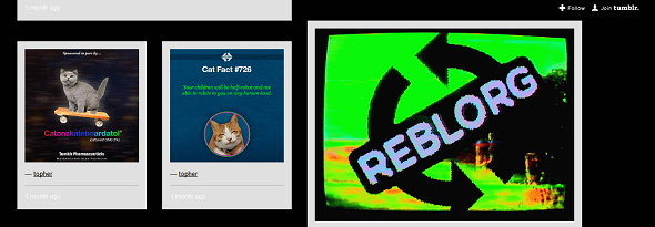 תוכן tumblr