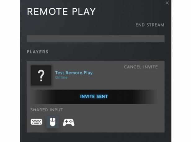 דוגמה ליכולת של Remote Play לשלוט באינטראקציות של חברך