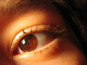 humaneye humaneye
