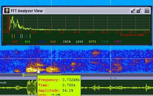 Sonogram Voice Voice - תוכנת ספקטרוגרמה קולית עוצמתית sono9