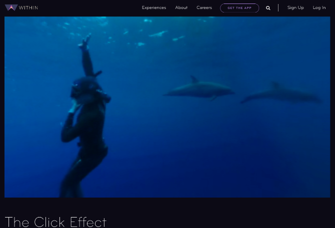 צללו מתחת למים כדי לראות כיצד דולפינים ולוויתנים מתקשרים בסרט "אפקט הקליק", סרט קצר של מציאות מדומה 