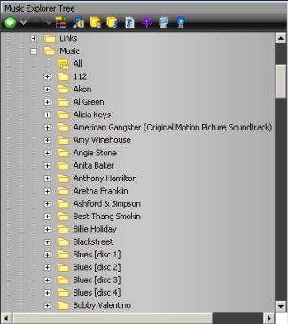 דוגמה לעץ המוסיקה של MediaMonkey
